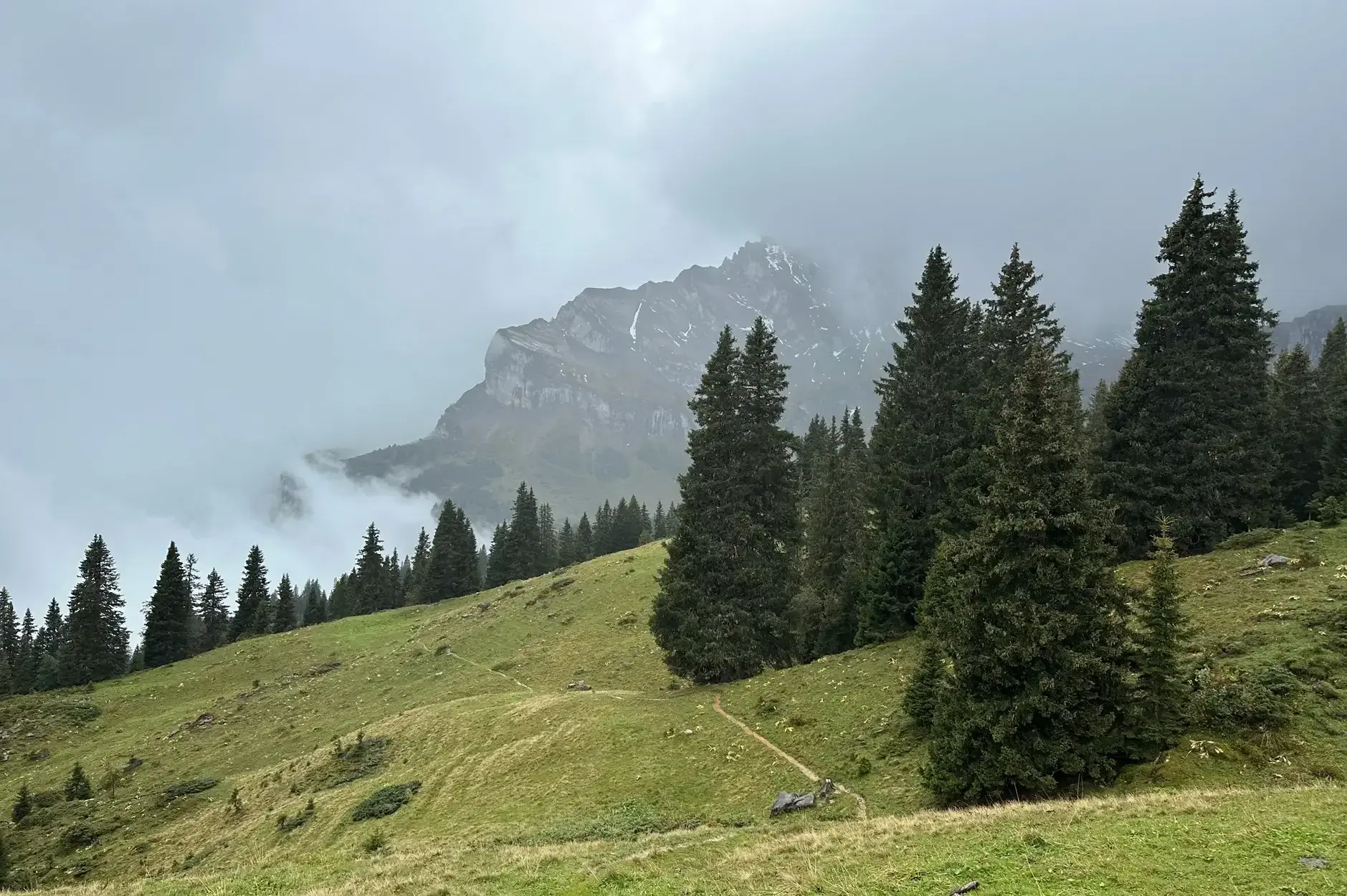 AG FF Foto Impression 010