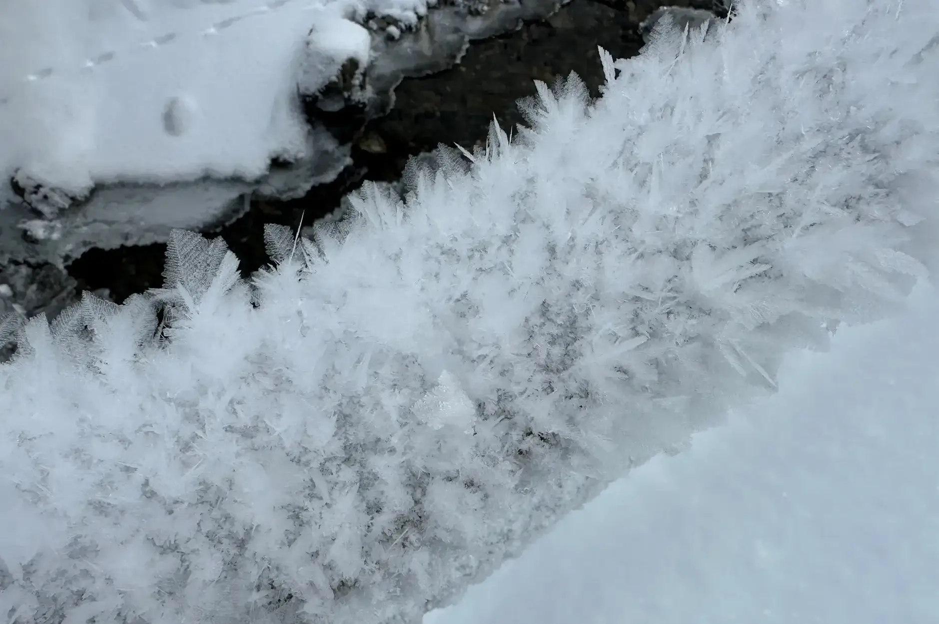 AG FF Foto Impression 020