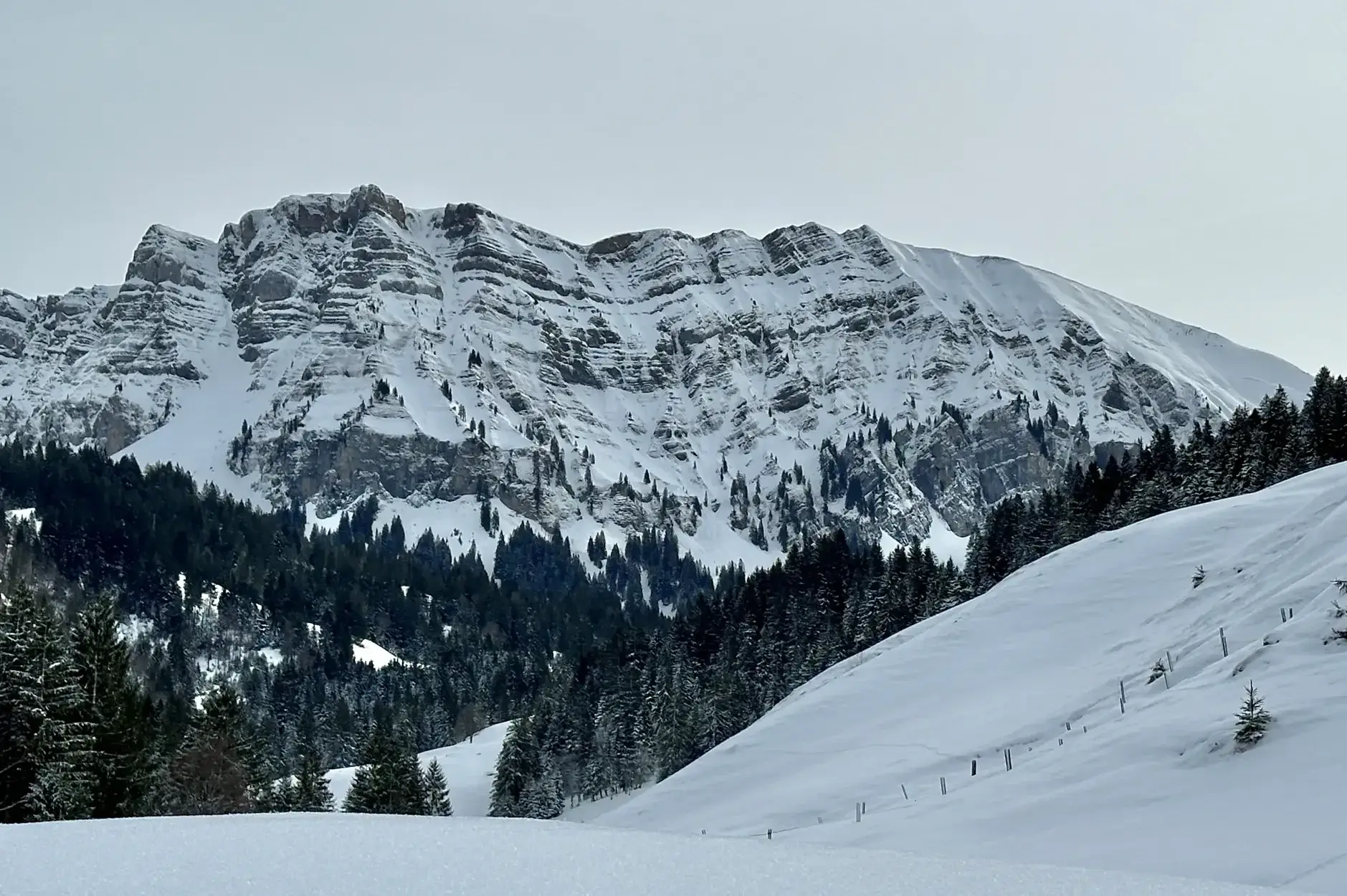 AG FF Foto Impression 021