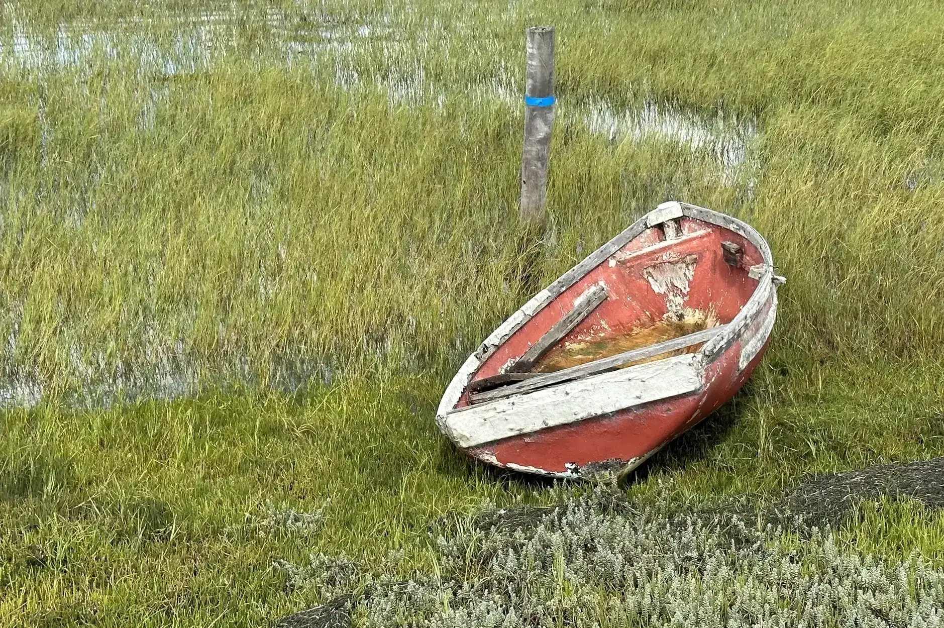 AG FF Foto Impression 060