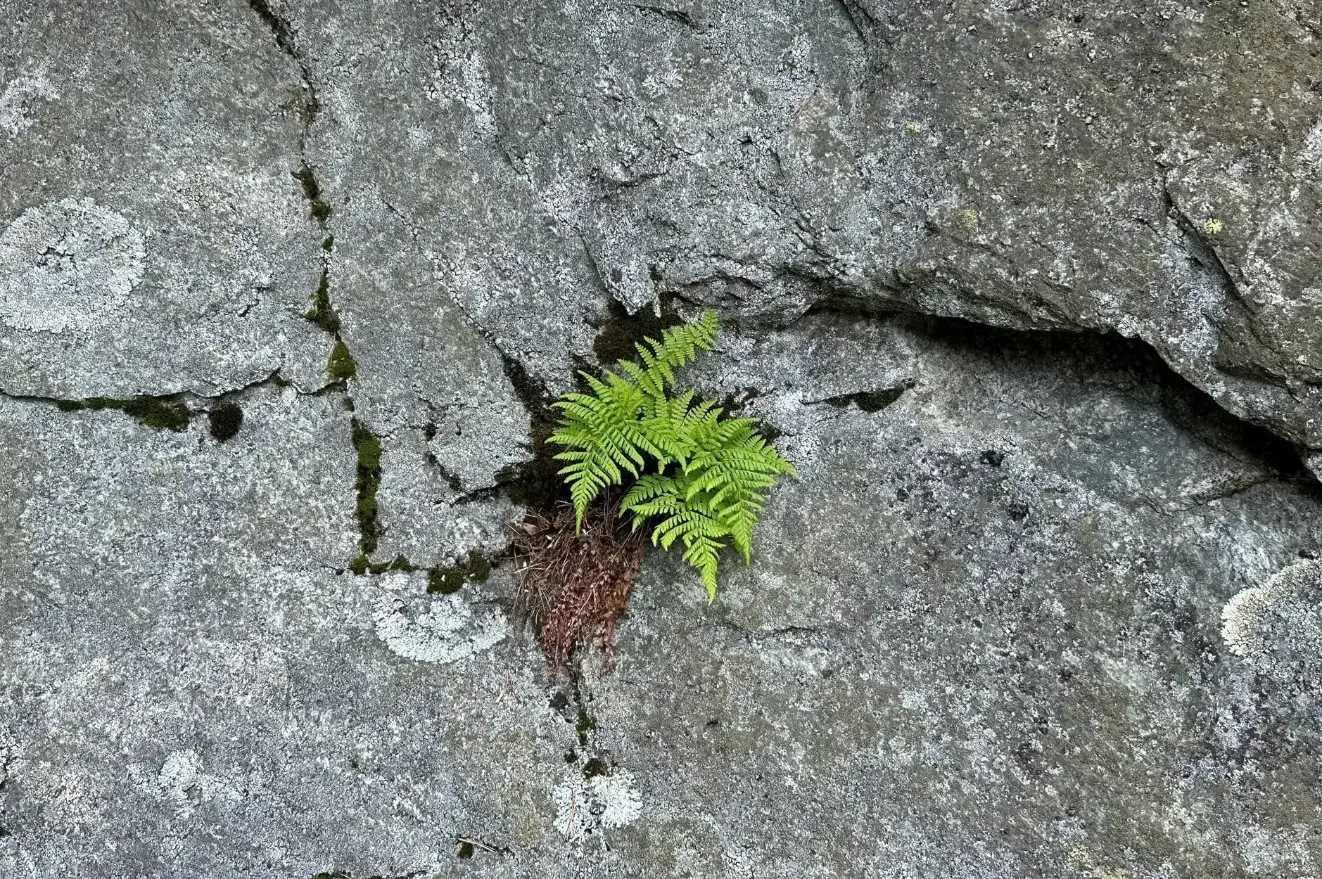 AG FF Foto Impression 077