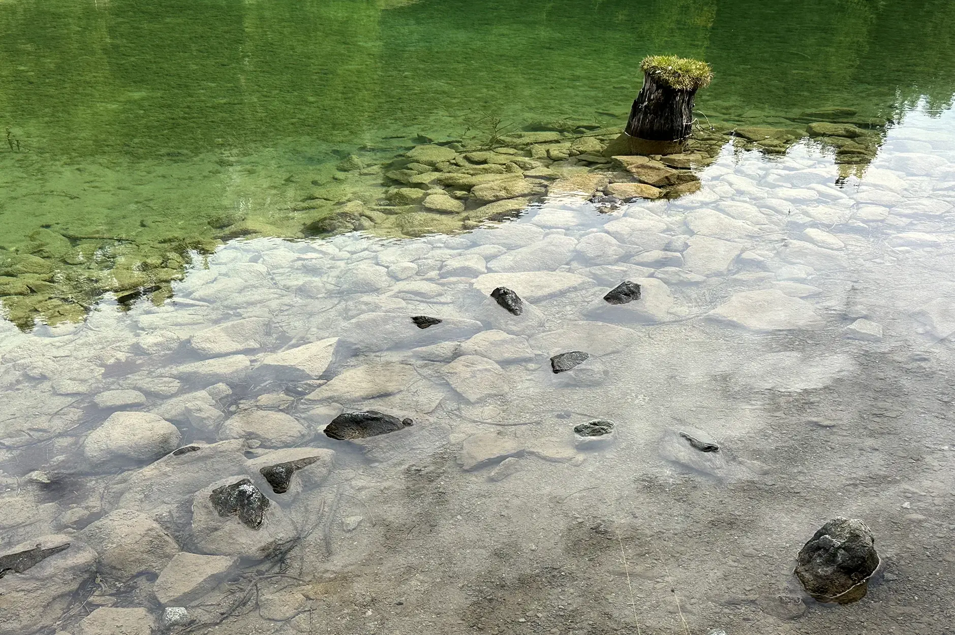 AG FF Foto Impression 090