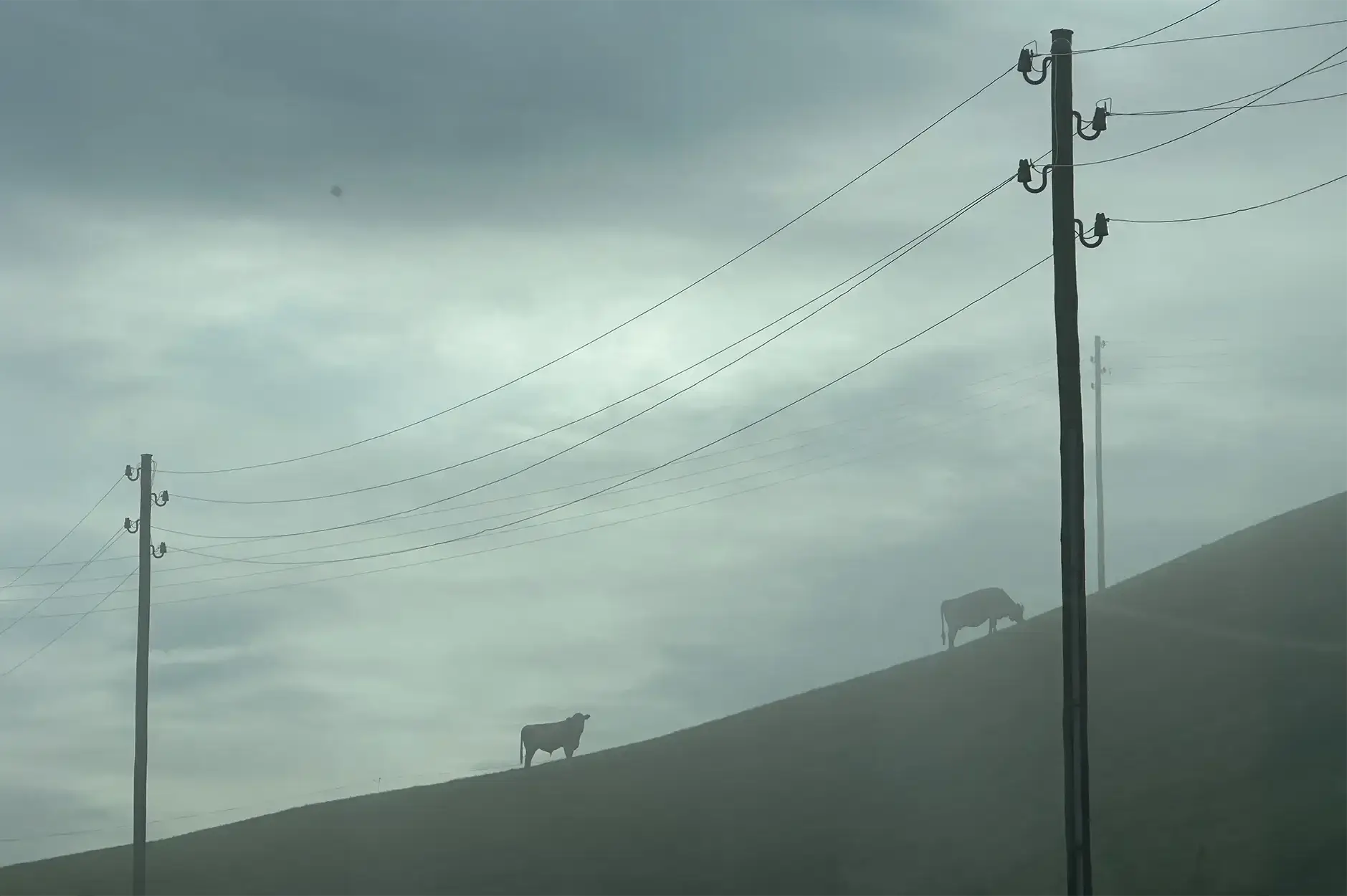 AG FF Foto Impression 094