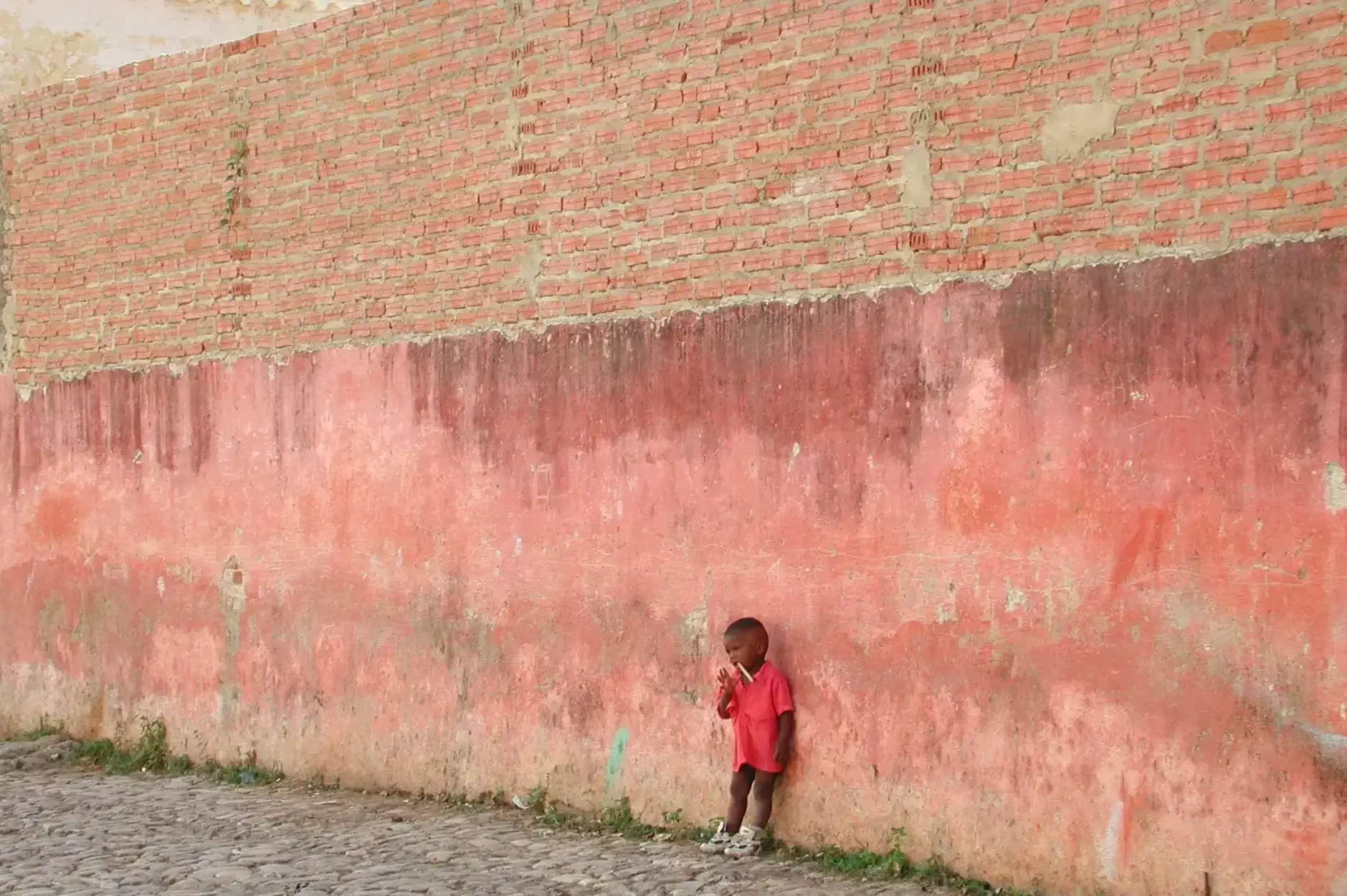 CF Foto Impression 105