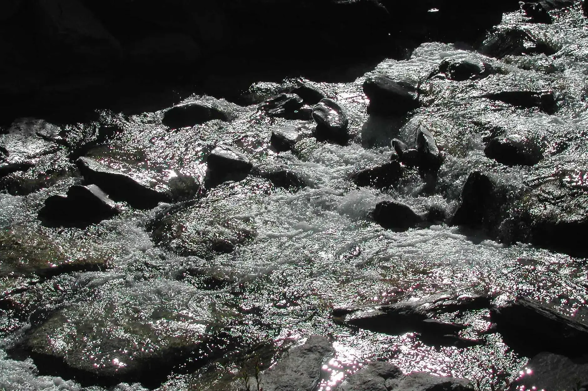 CF Foto Impression 111