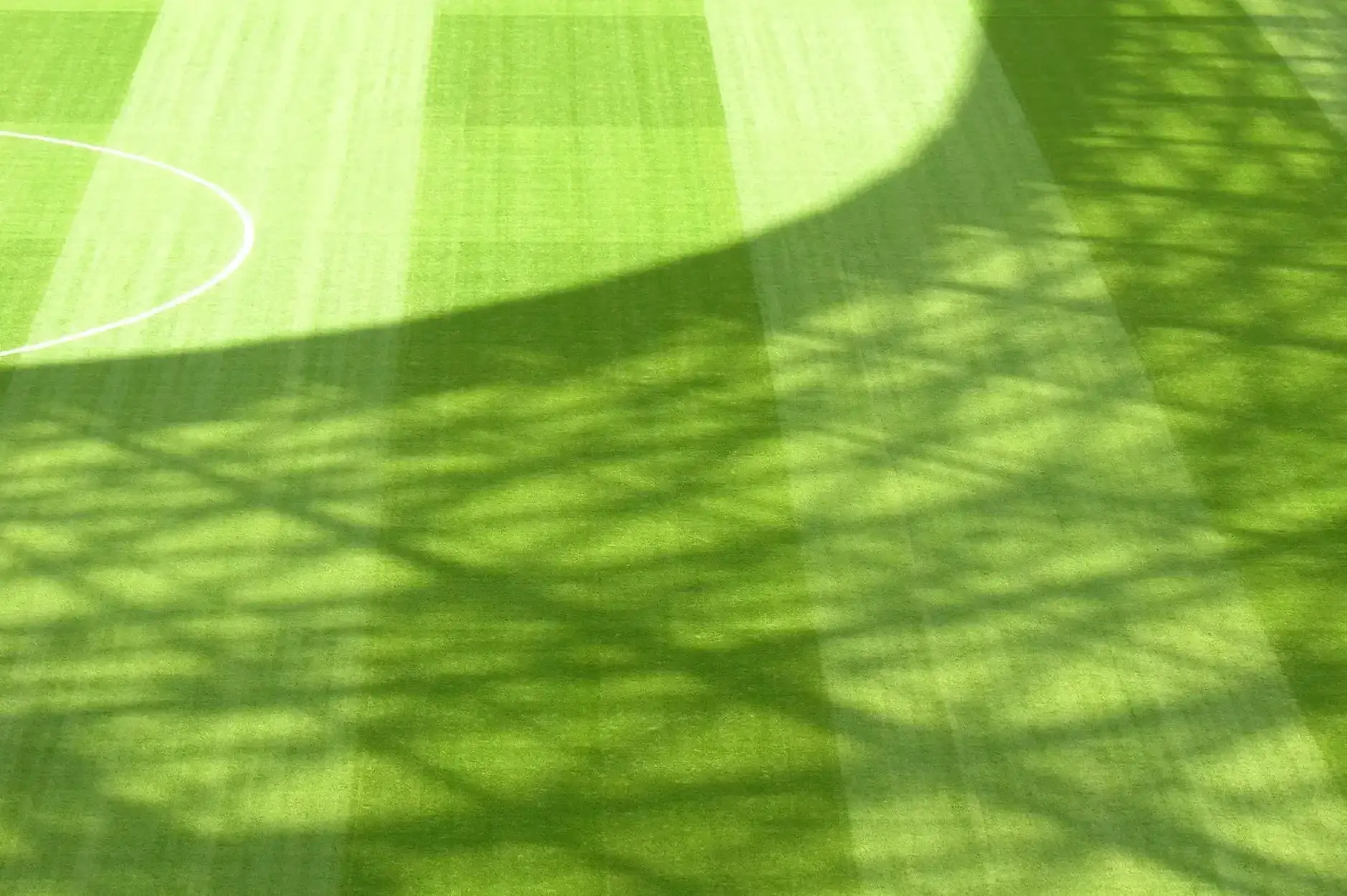 CF Foto Impression 126