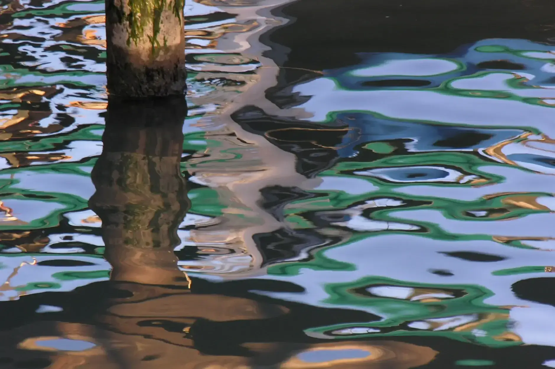 CF Foto Impression 136