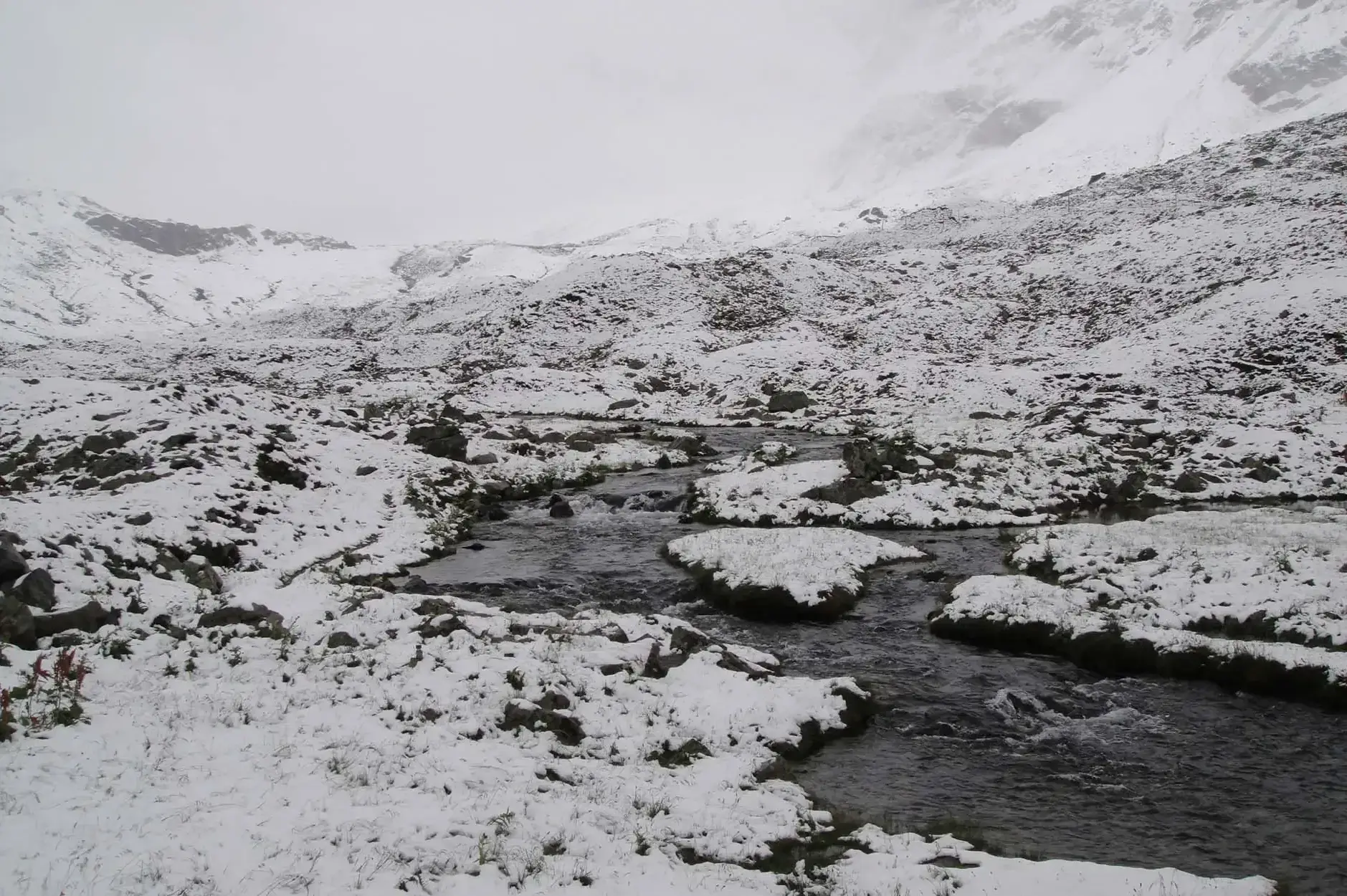 CF Foto Impression 145