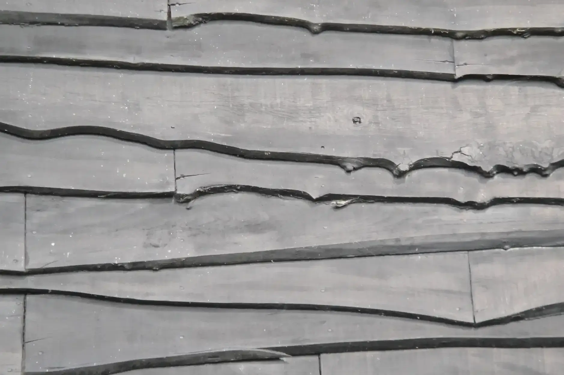 CF Foto Impression 147