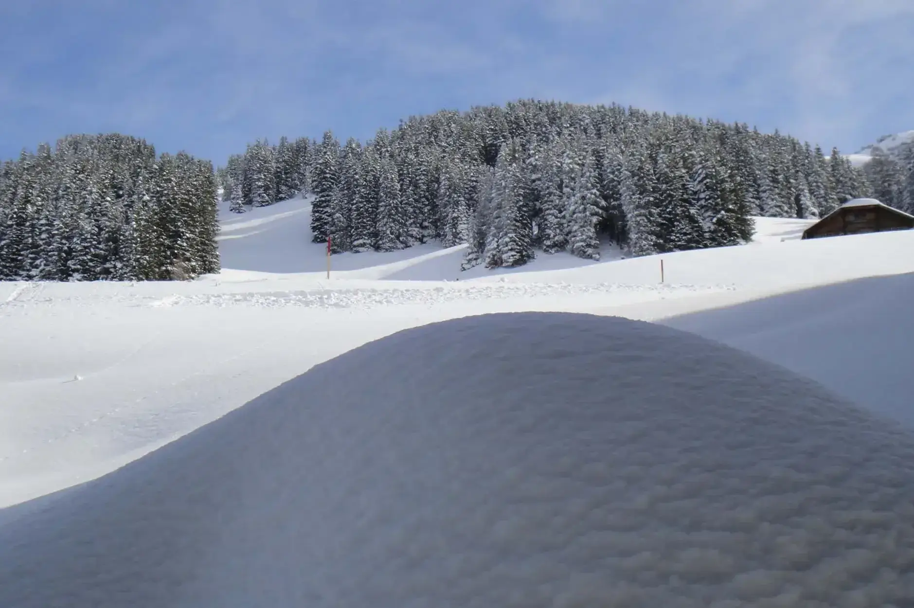 CF Foto Impression 230