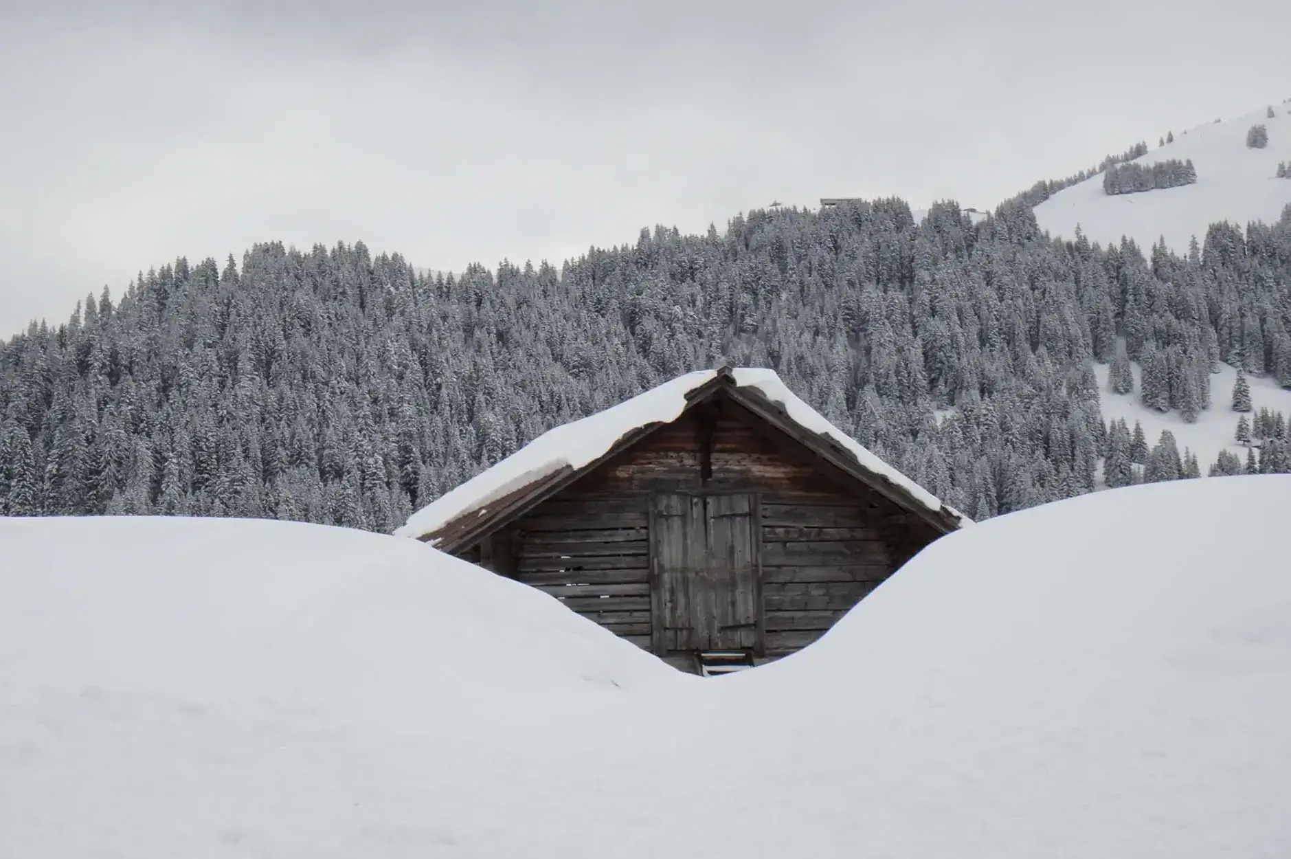 CF Foto Impression 231