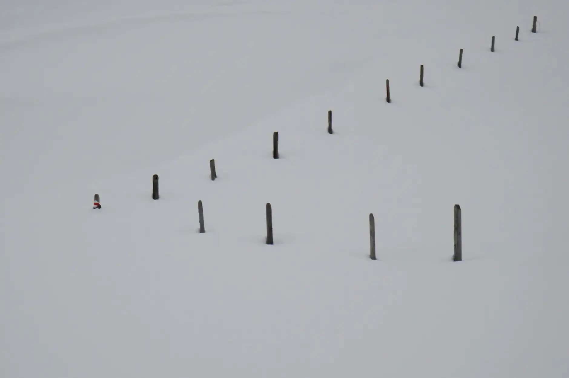 CF Foto Impression 232