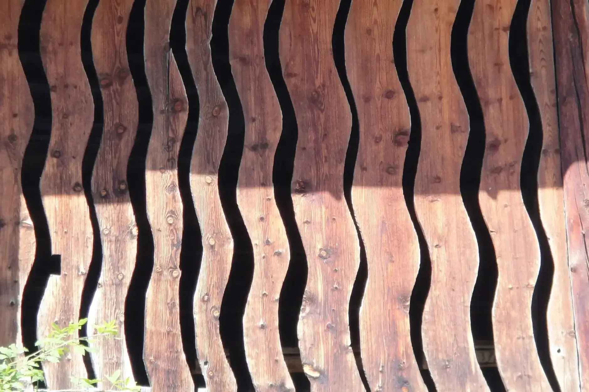 CF Foto Impression 240