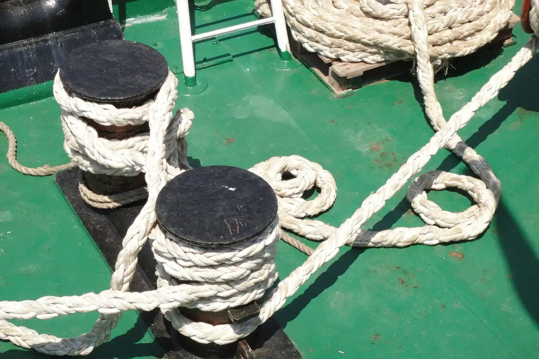 CF Foto Impression 255