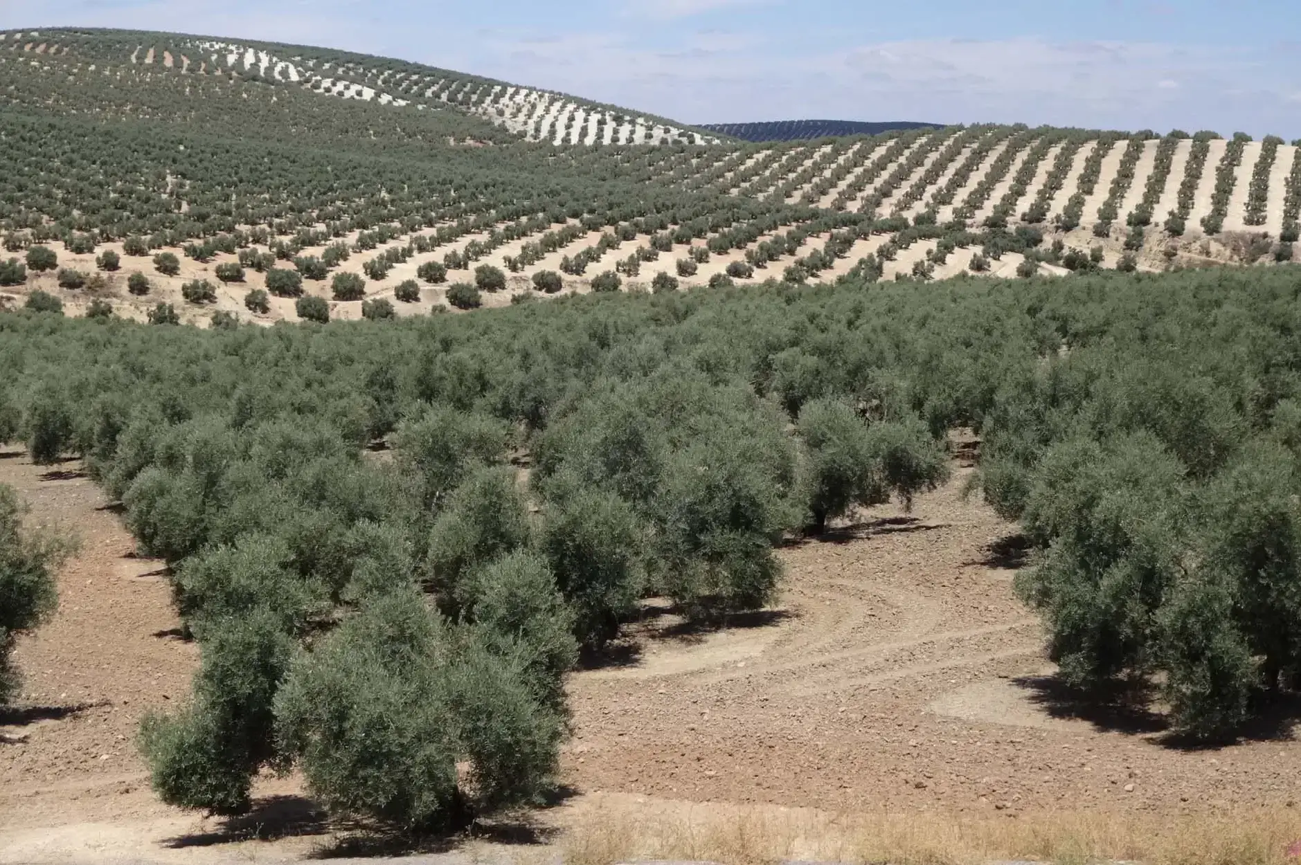 CF Foto Impression 266