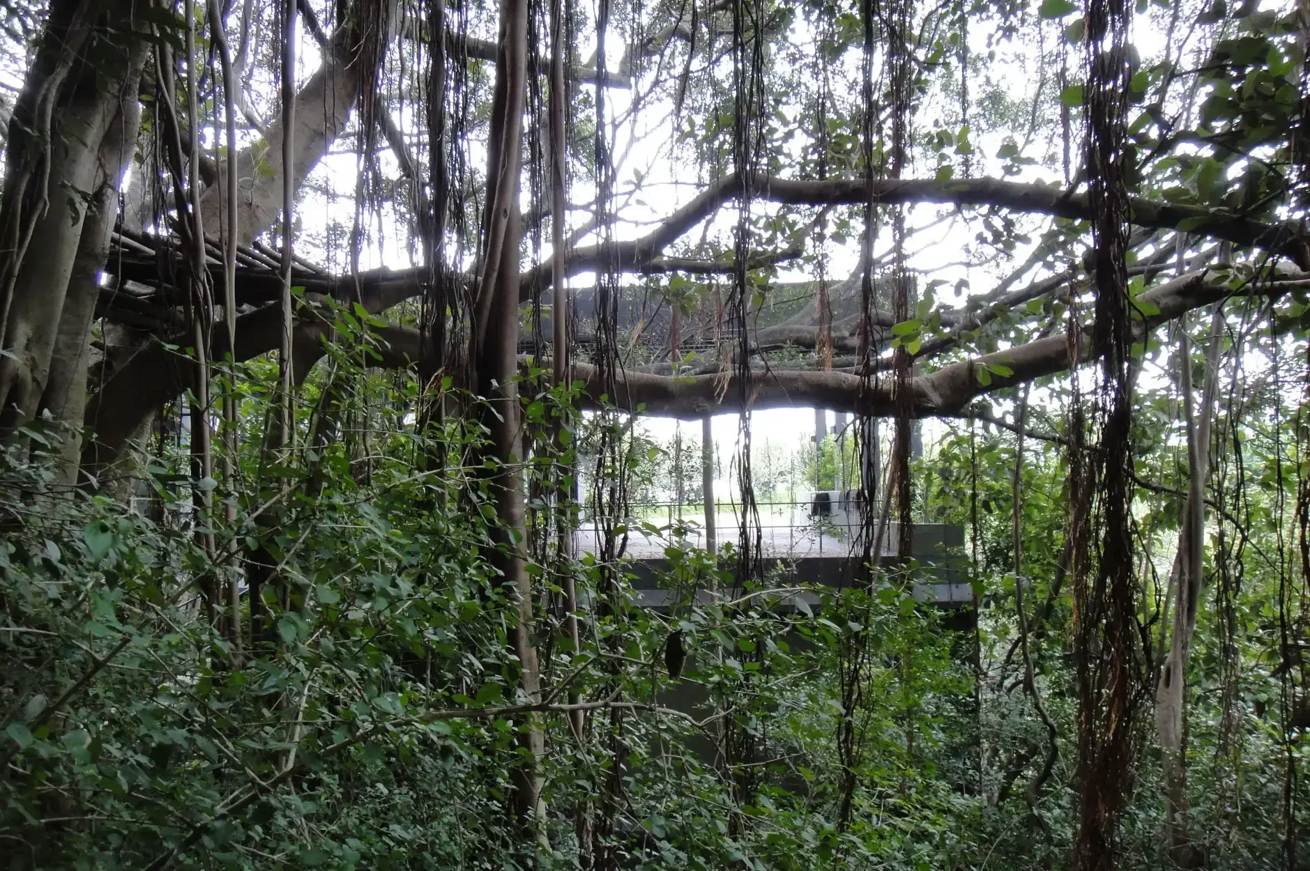 CF Foto Impression 27