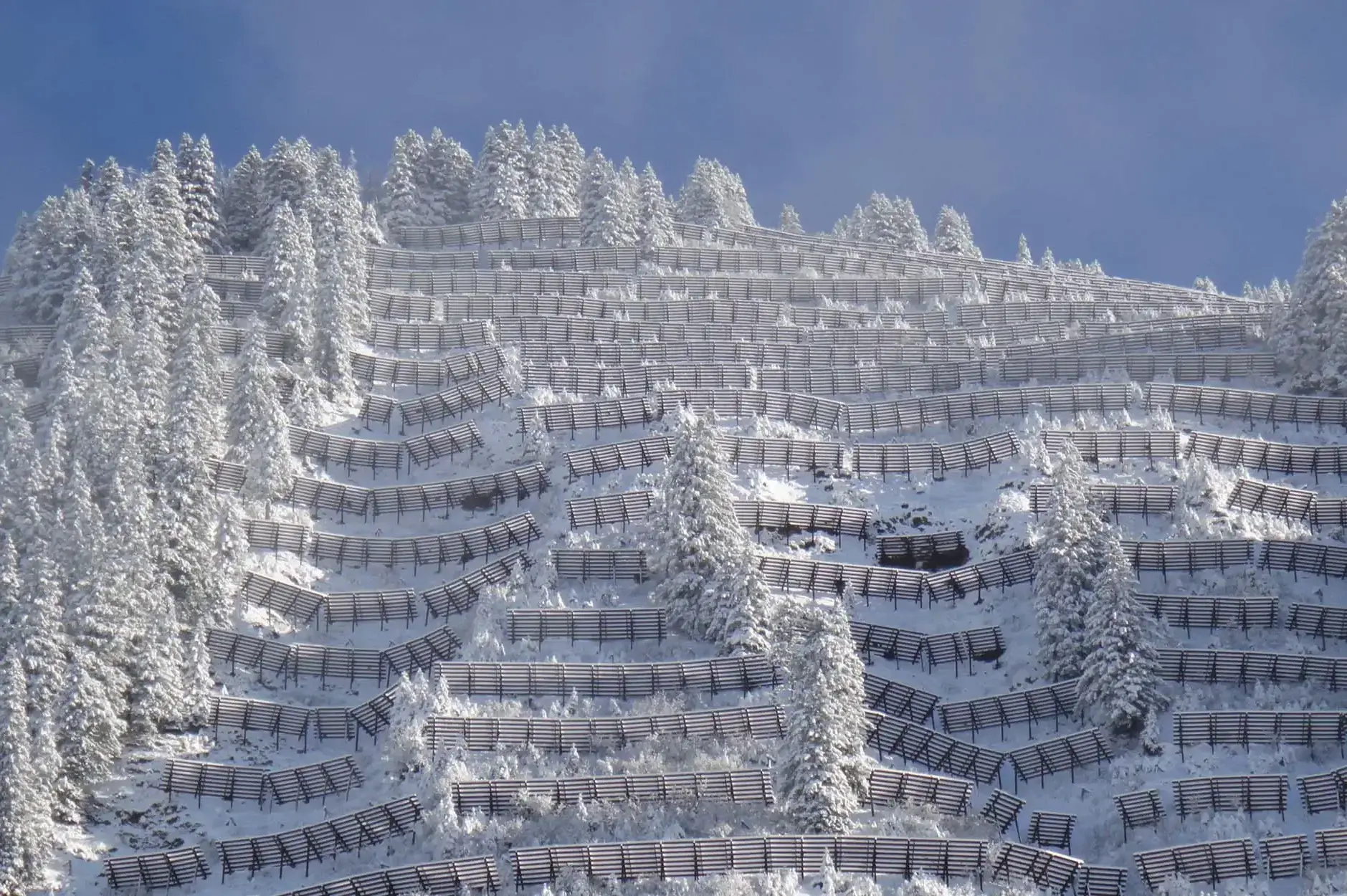 CF Foto Impression 270