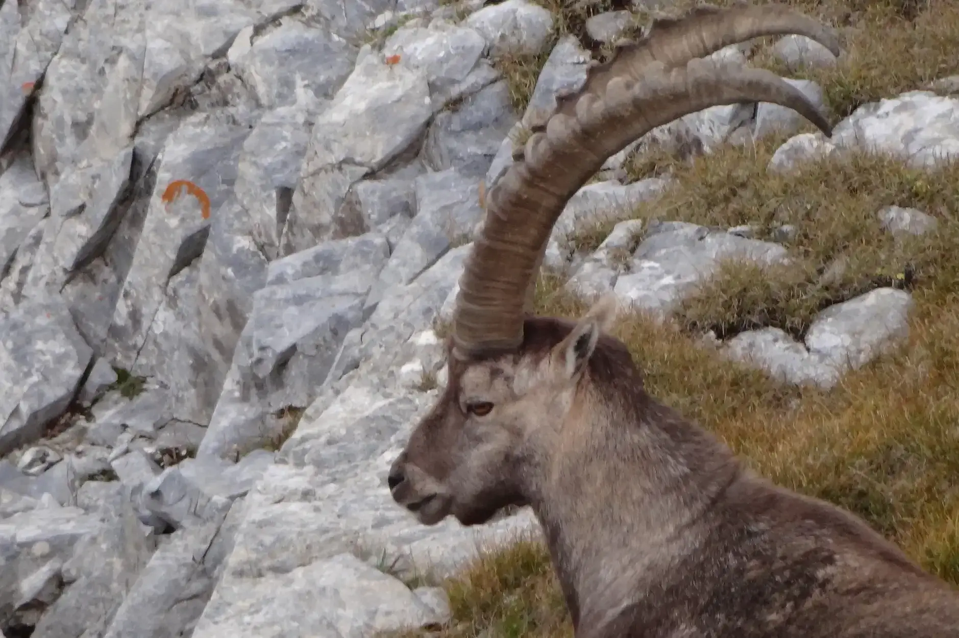 CF Foto Impression 3