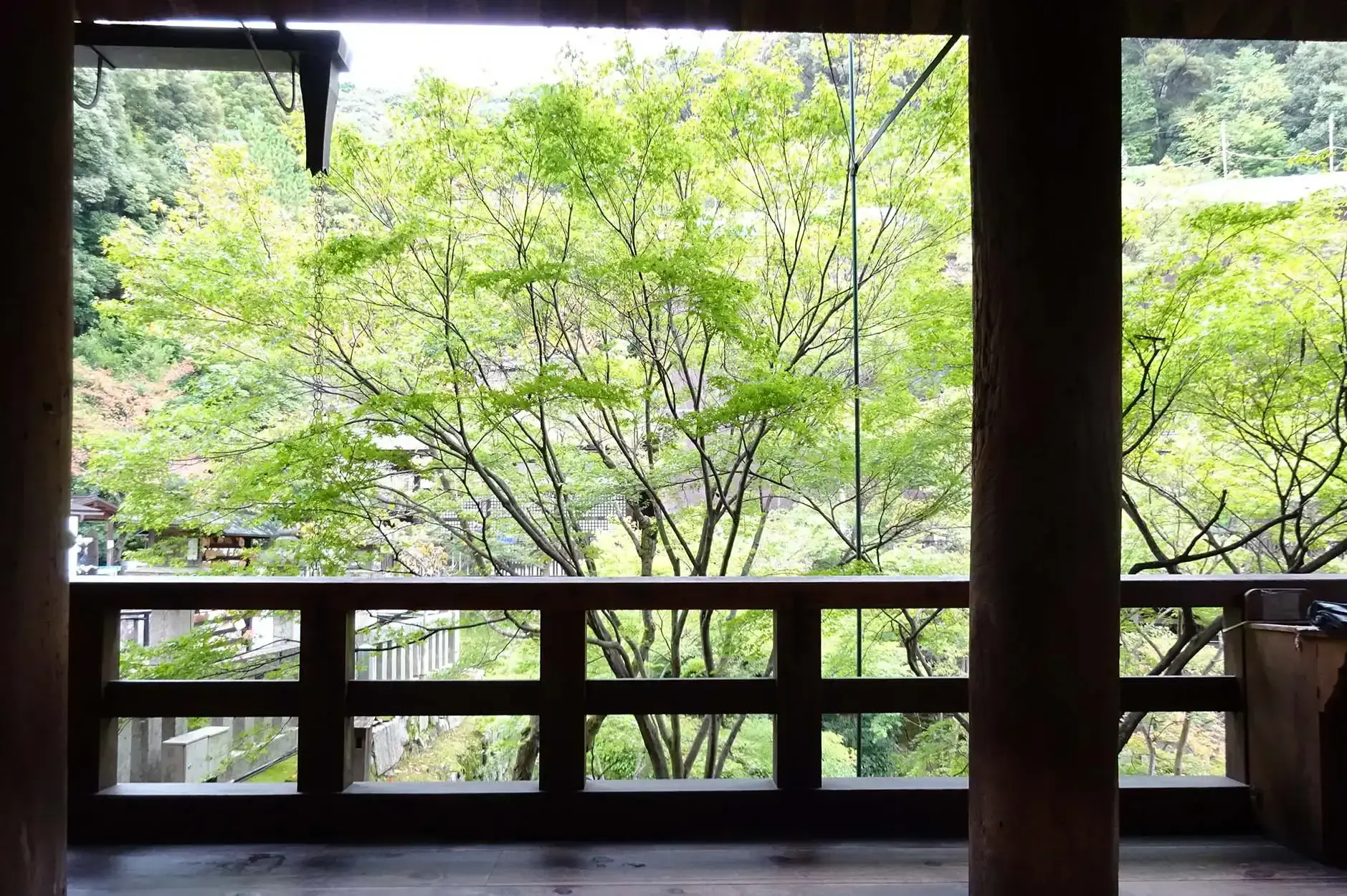 CF Foto Impression 305