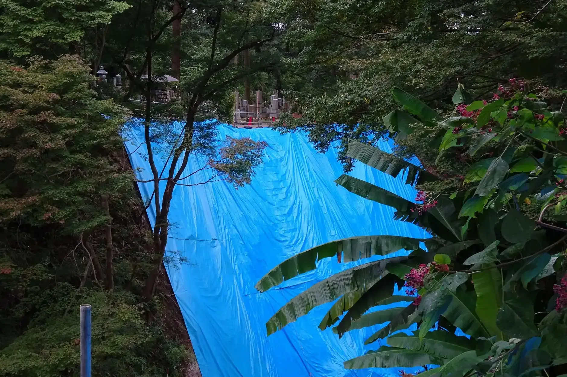 CF Foto Impression 307