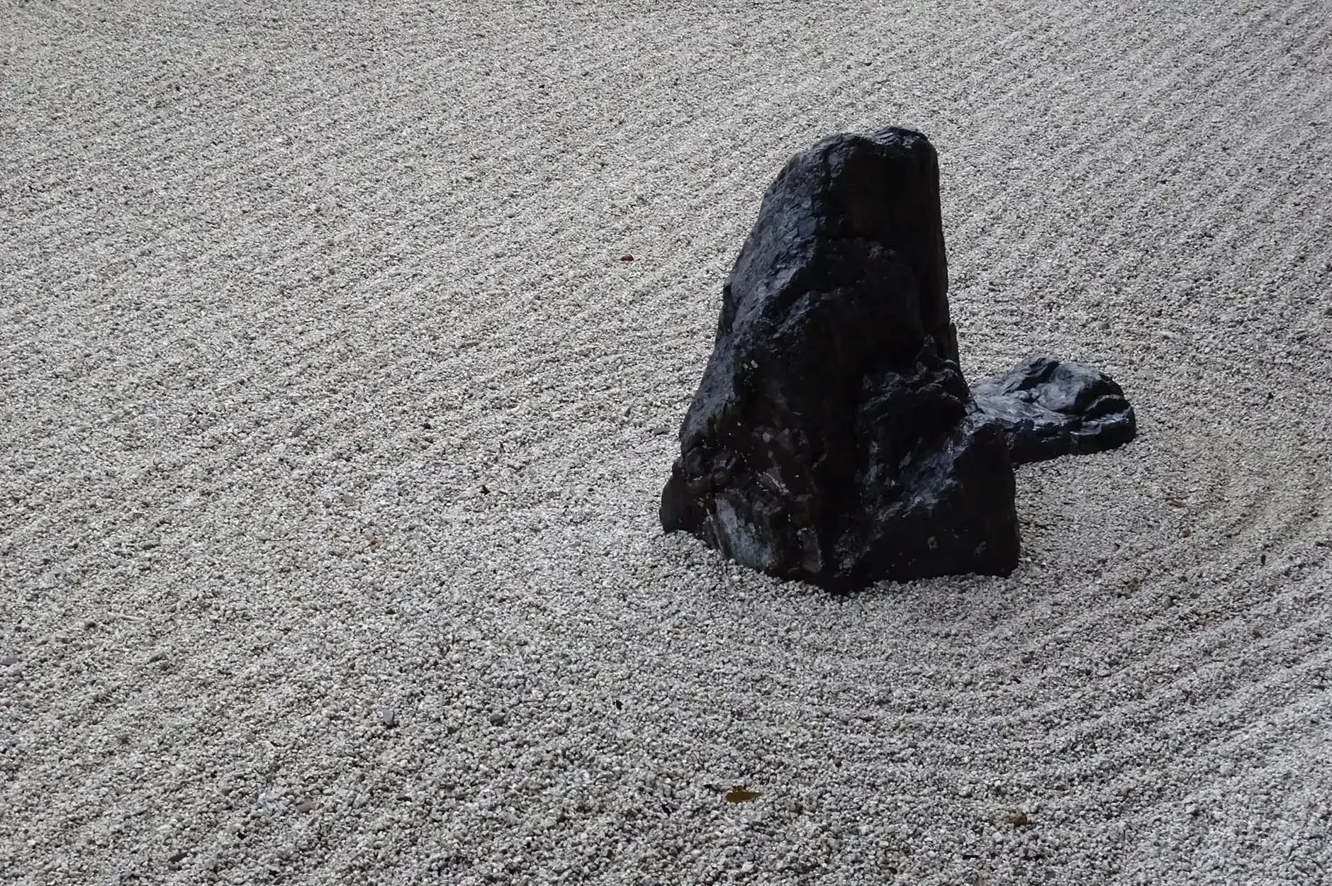 CF Foto Impression 318