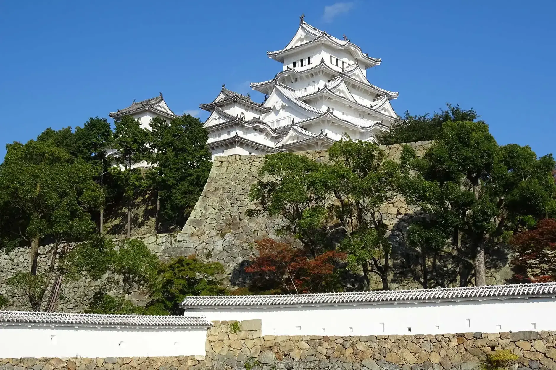 CF Foto Impression 360