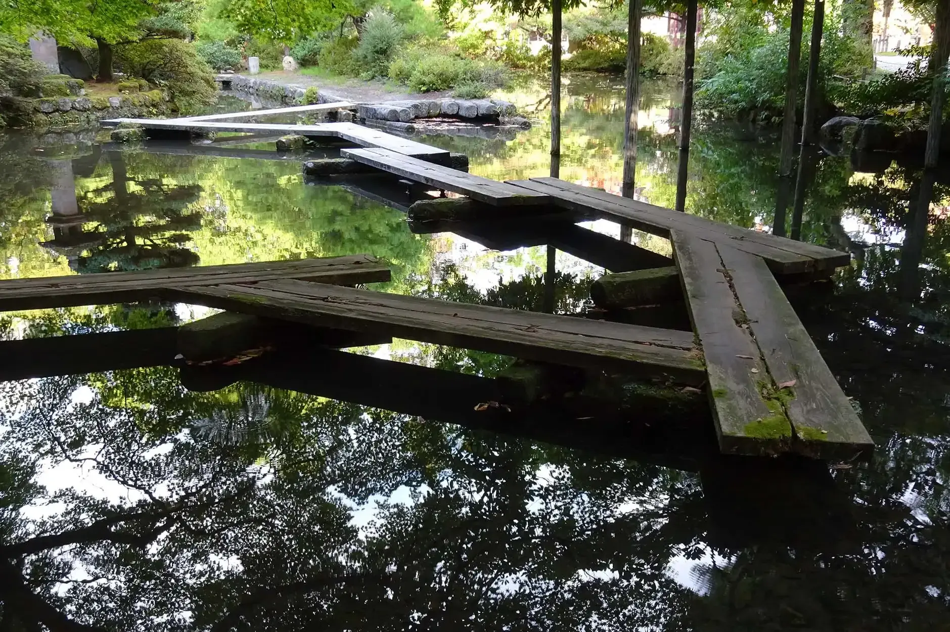 CF Foto Impression 362