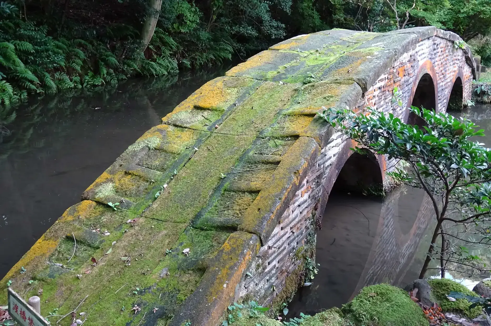 CF Foto Impression 363