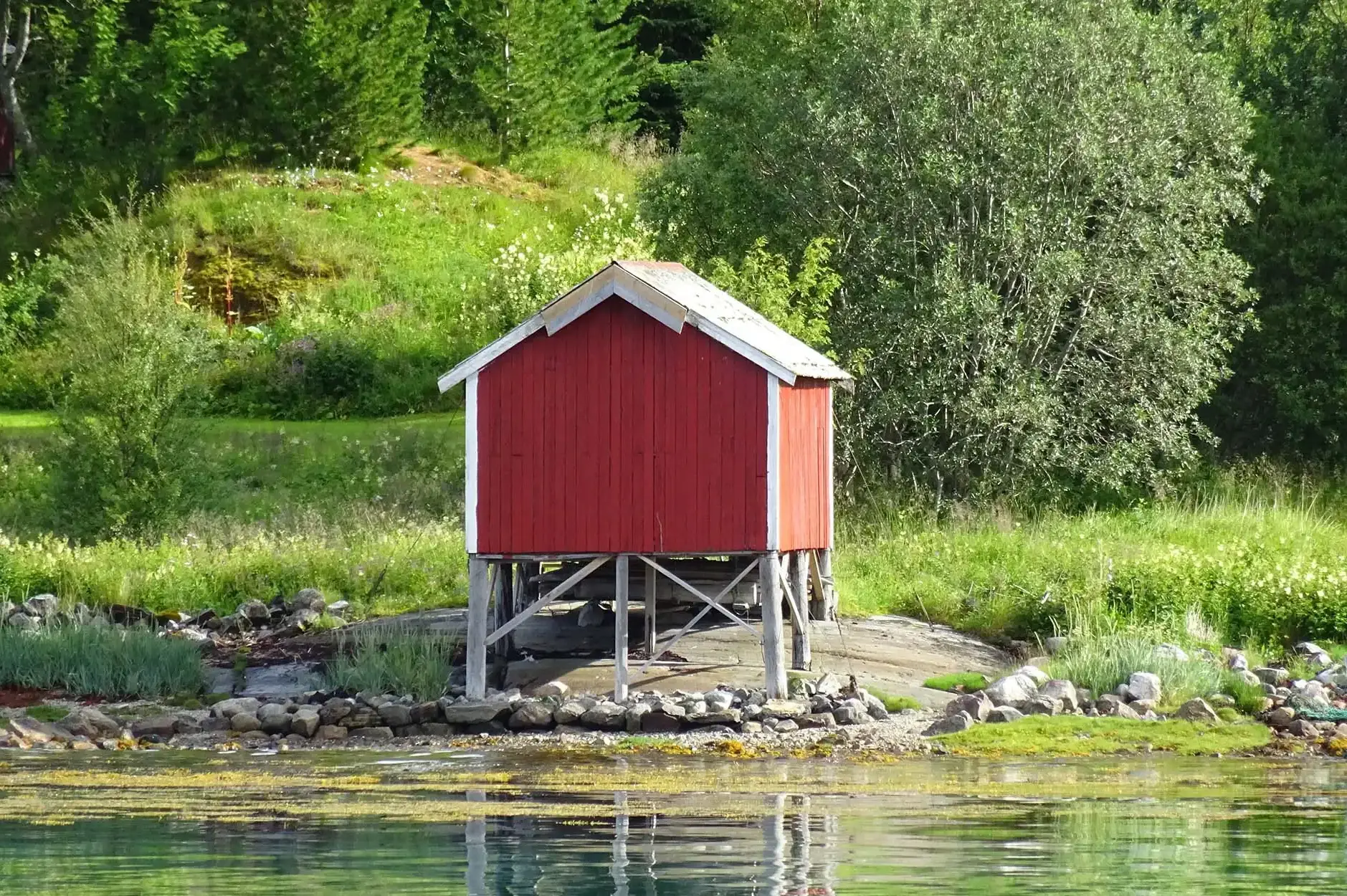 CF Foto Impression 400