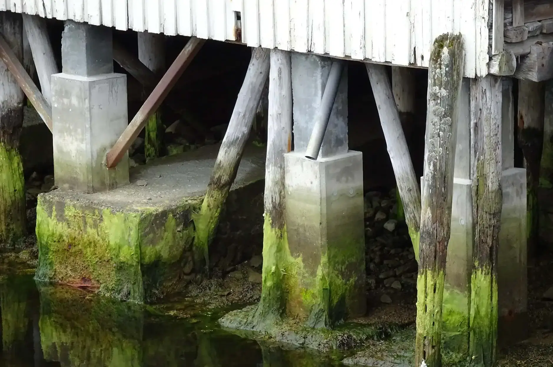 CF Foto Impression 407