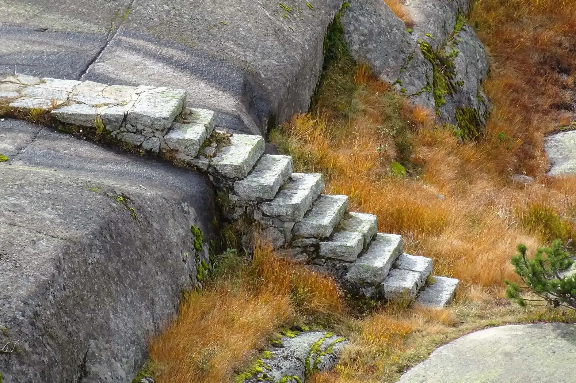 CF Foto Impression 436