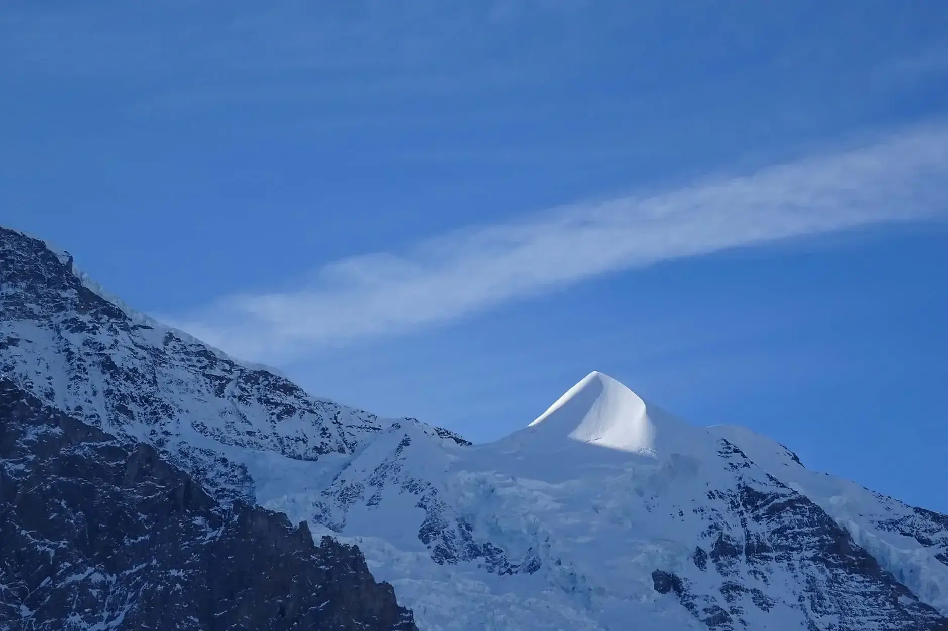 CF Foto Impression 440