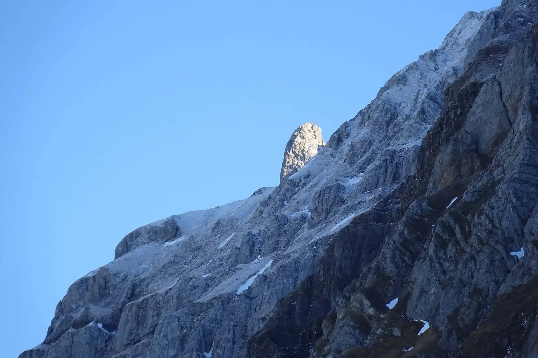 CF Foto Impression 459