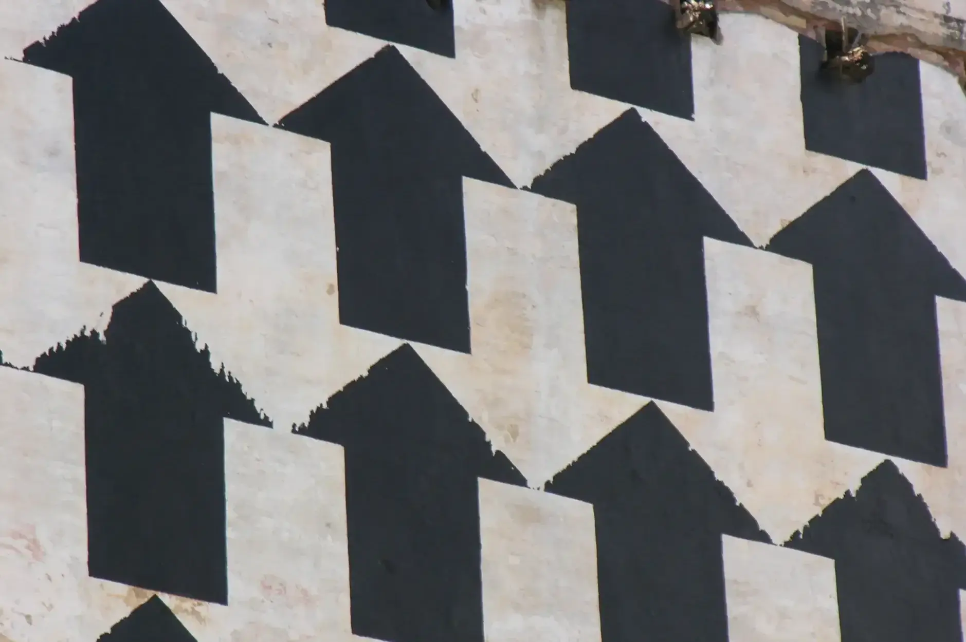 CF Foto Impression 46