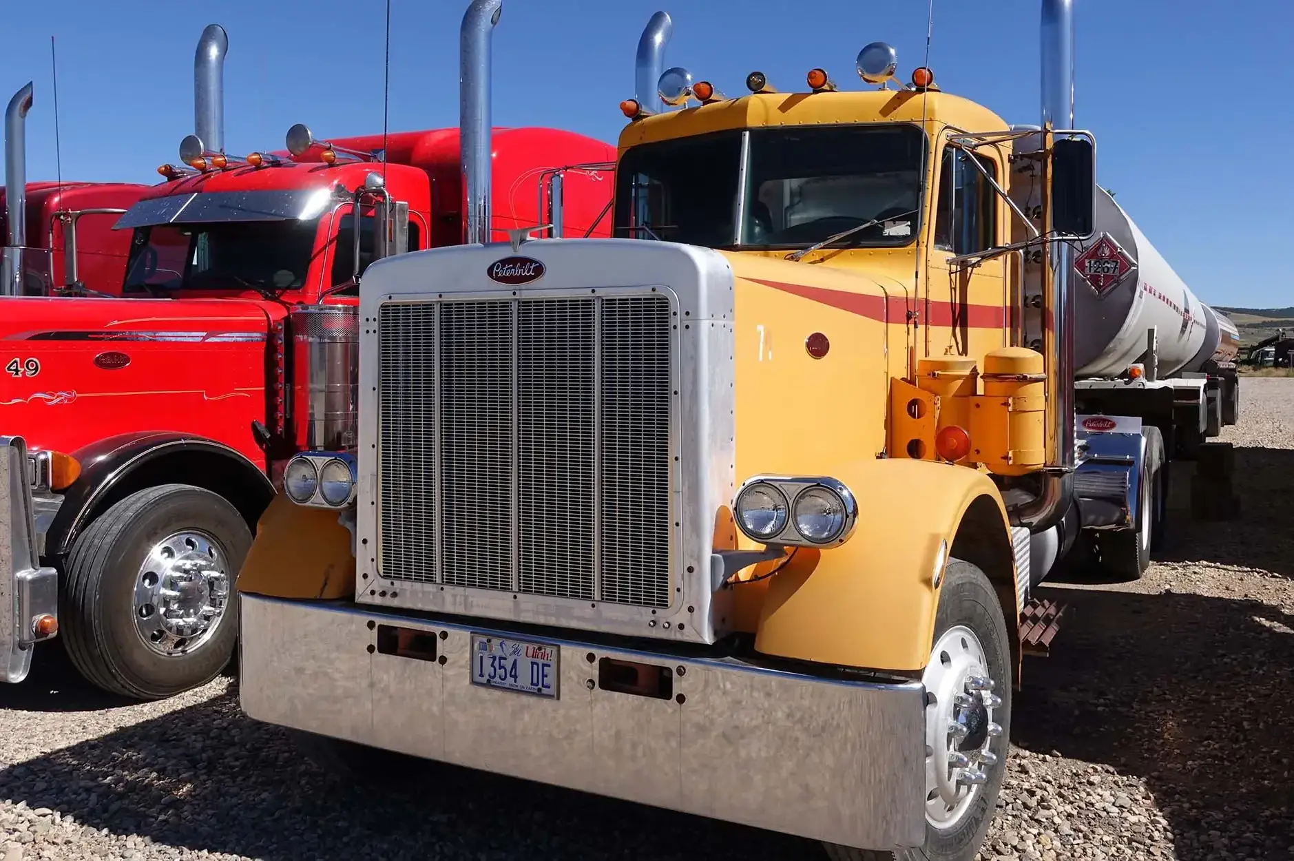 CF Foto Impression 475