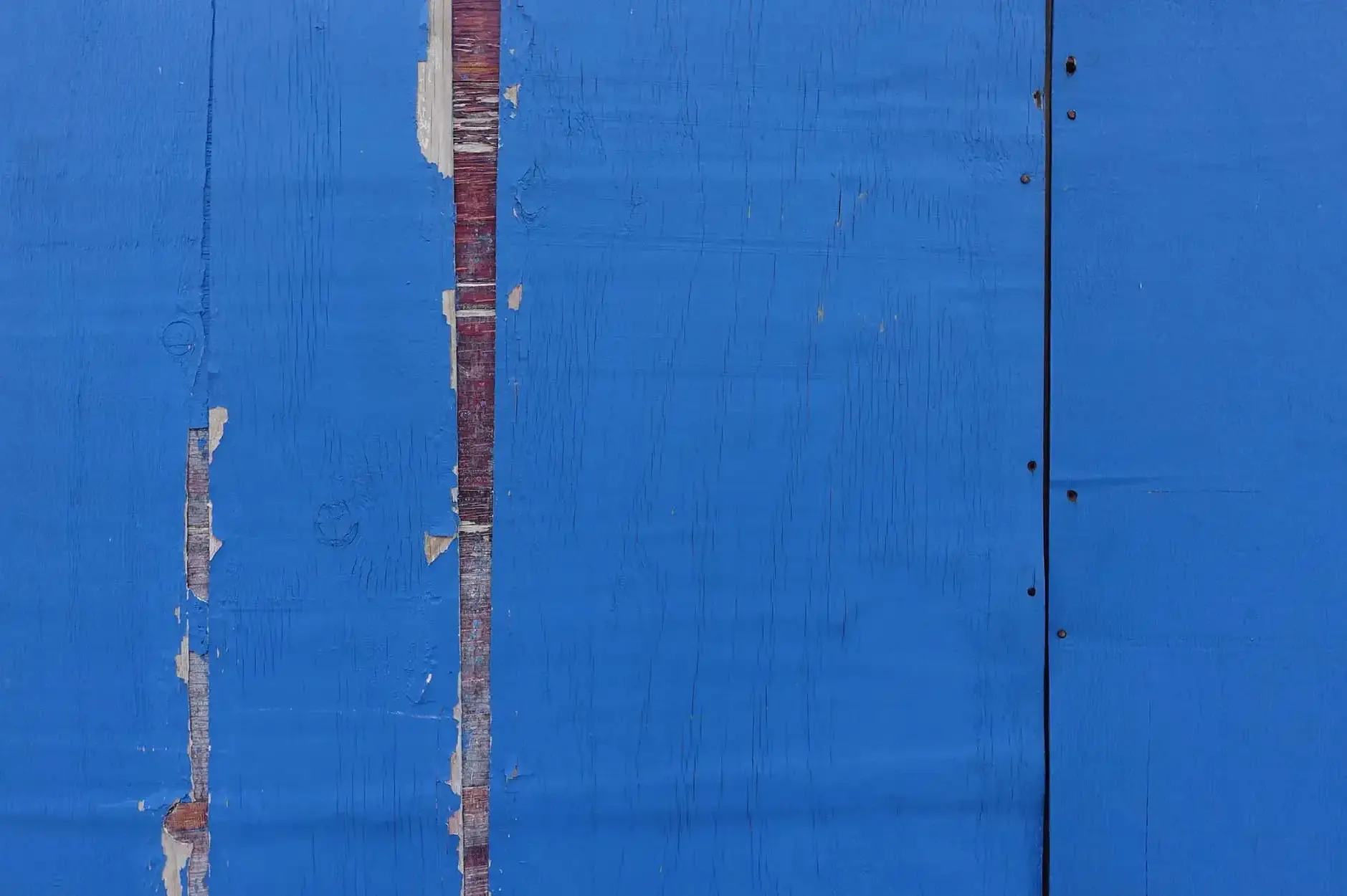 CF Foto Impression 489