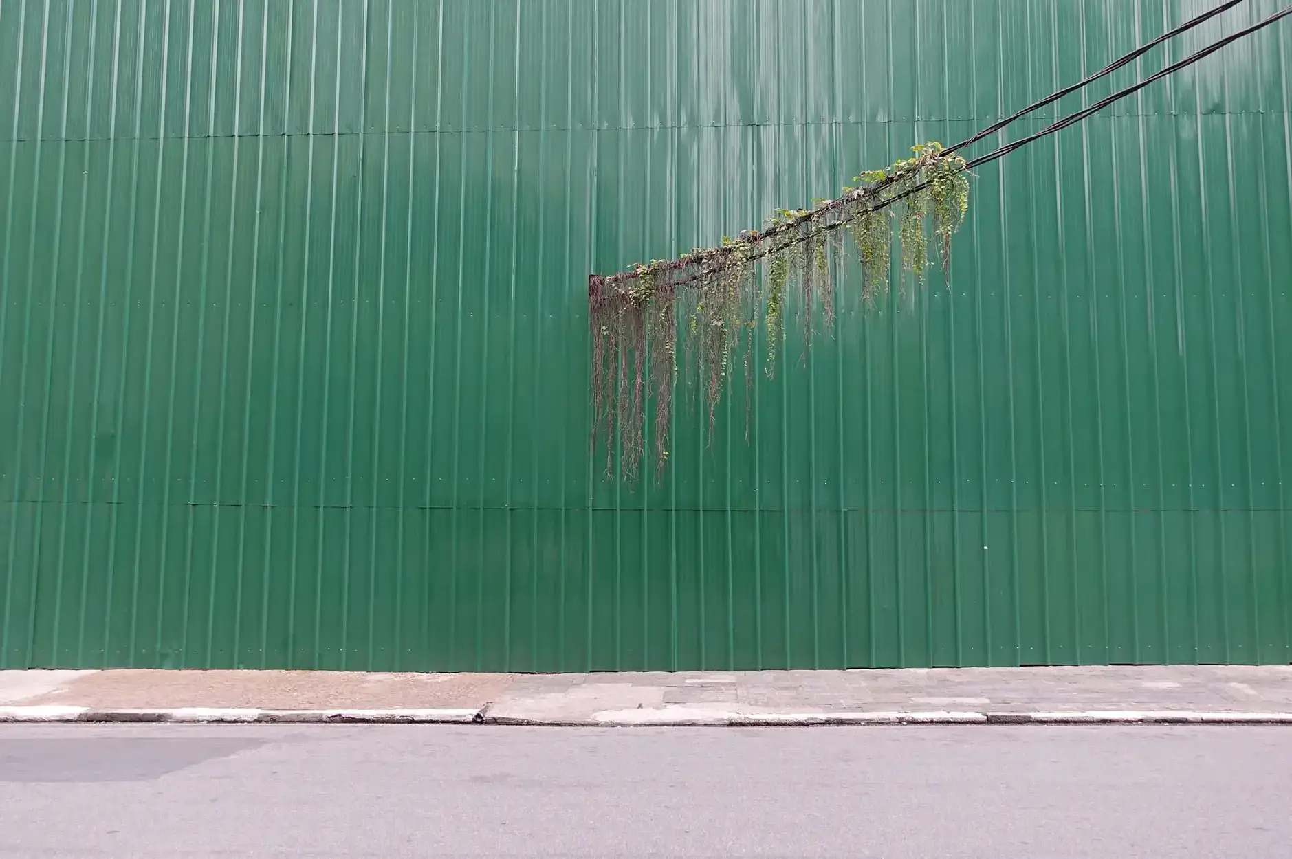 CF Foto Impression 501