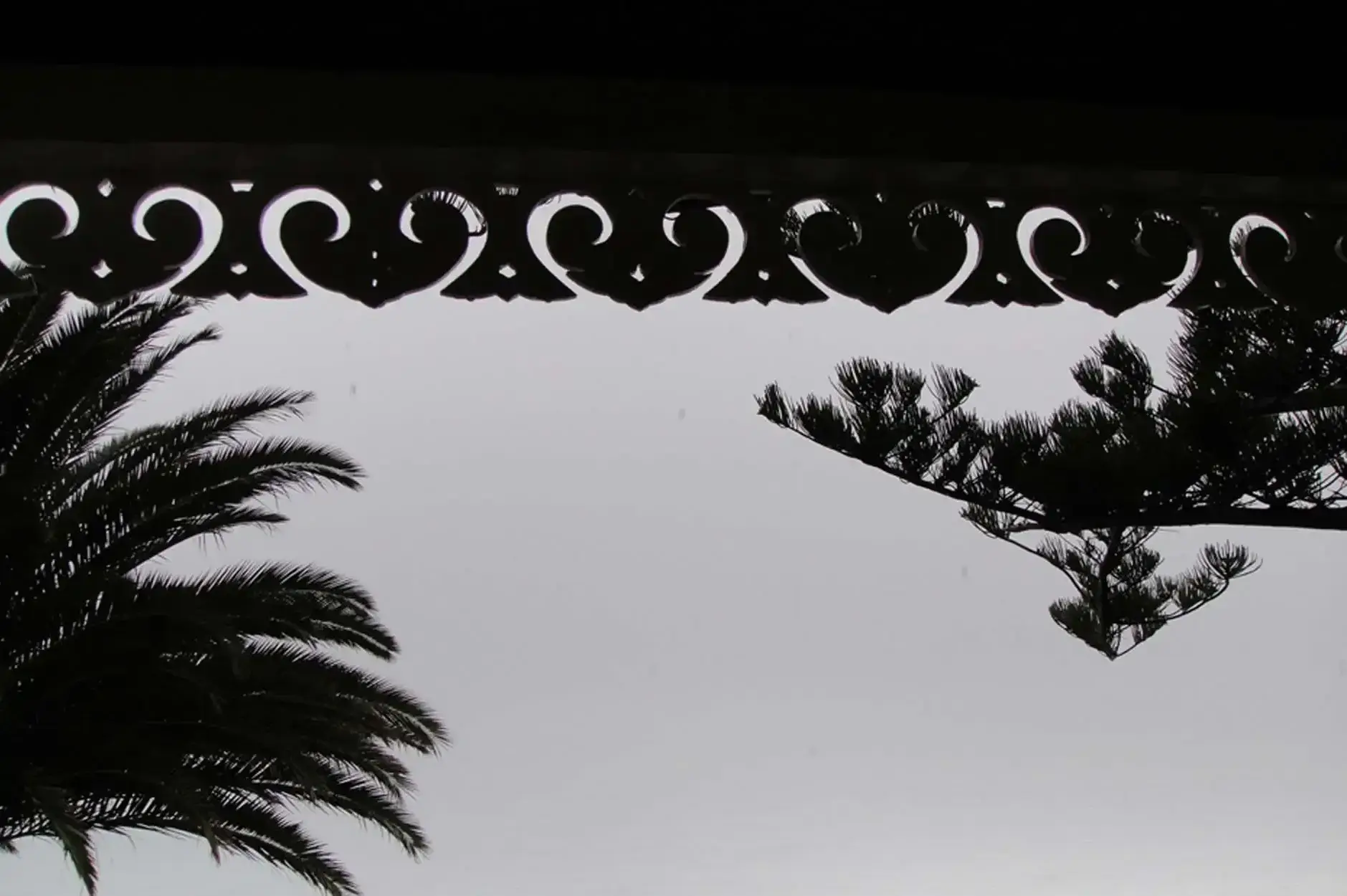 CF Foto Impression 53