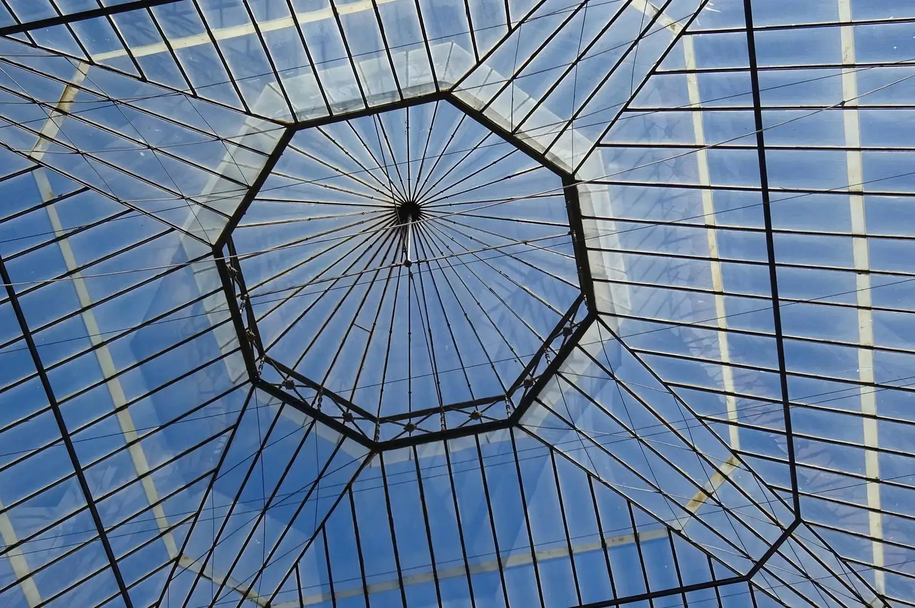 CF Foto Impression 544