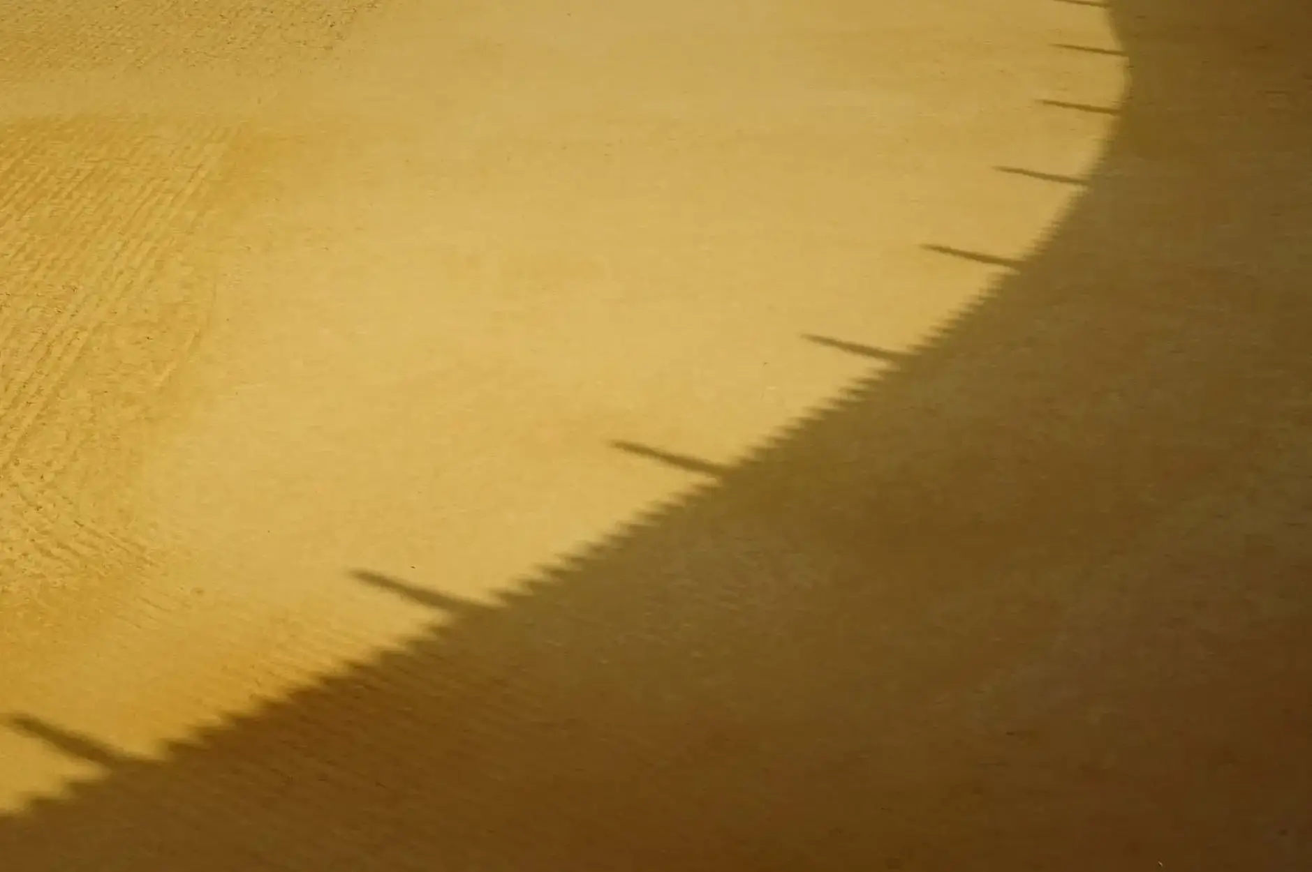 CF Foto Impression 555