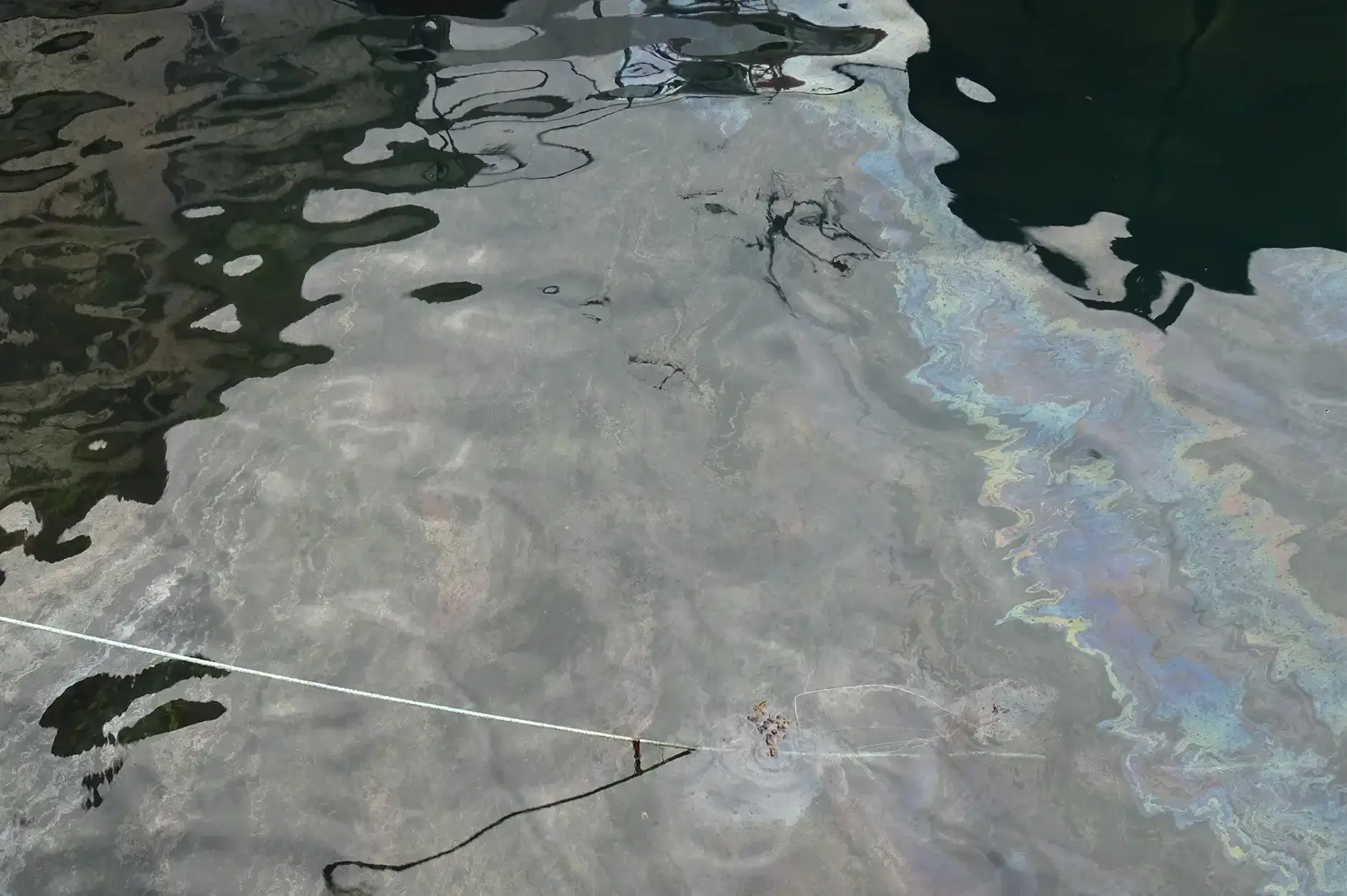 CF Foto Impression 567