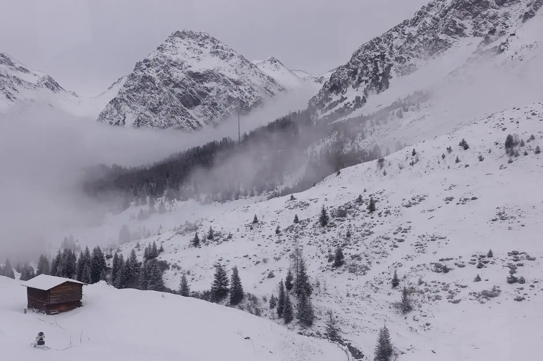 CF Foto Impression 570