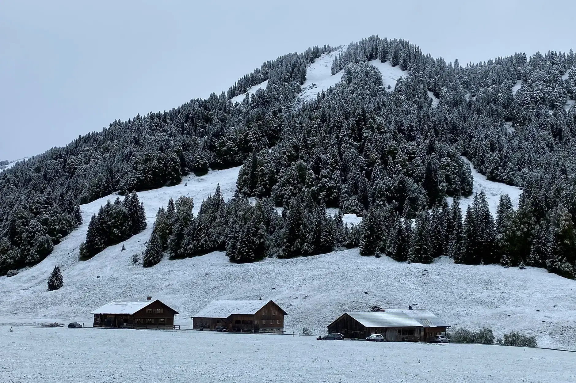 CF Foto Impression 616