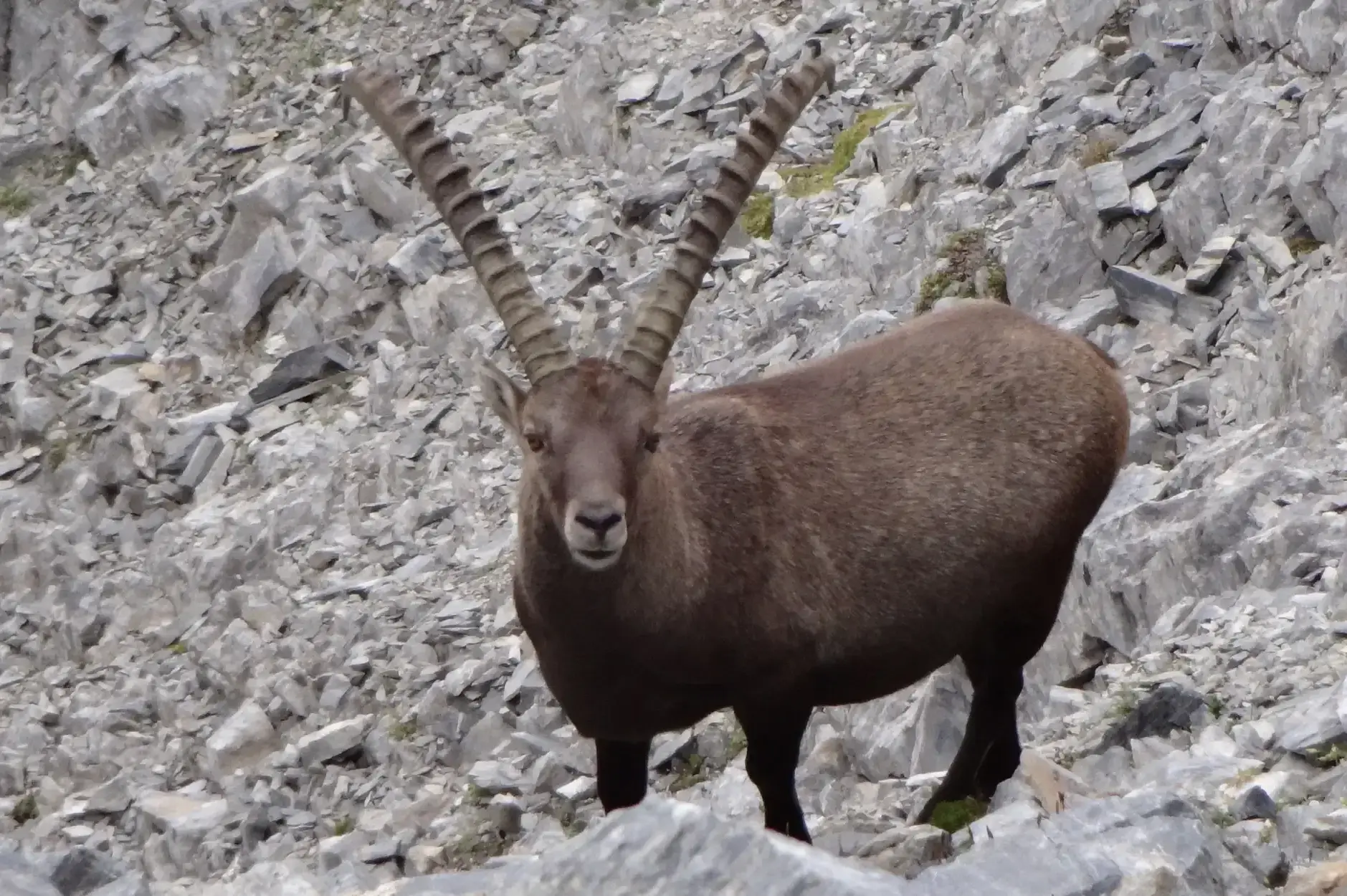 CF Foto Impression 66