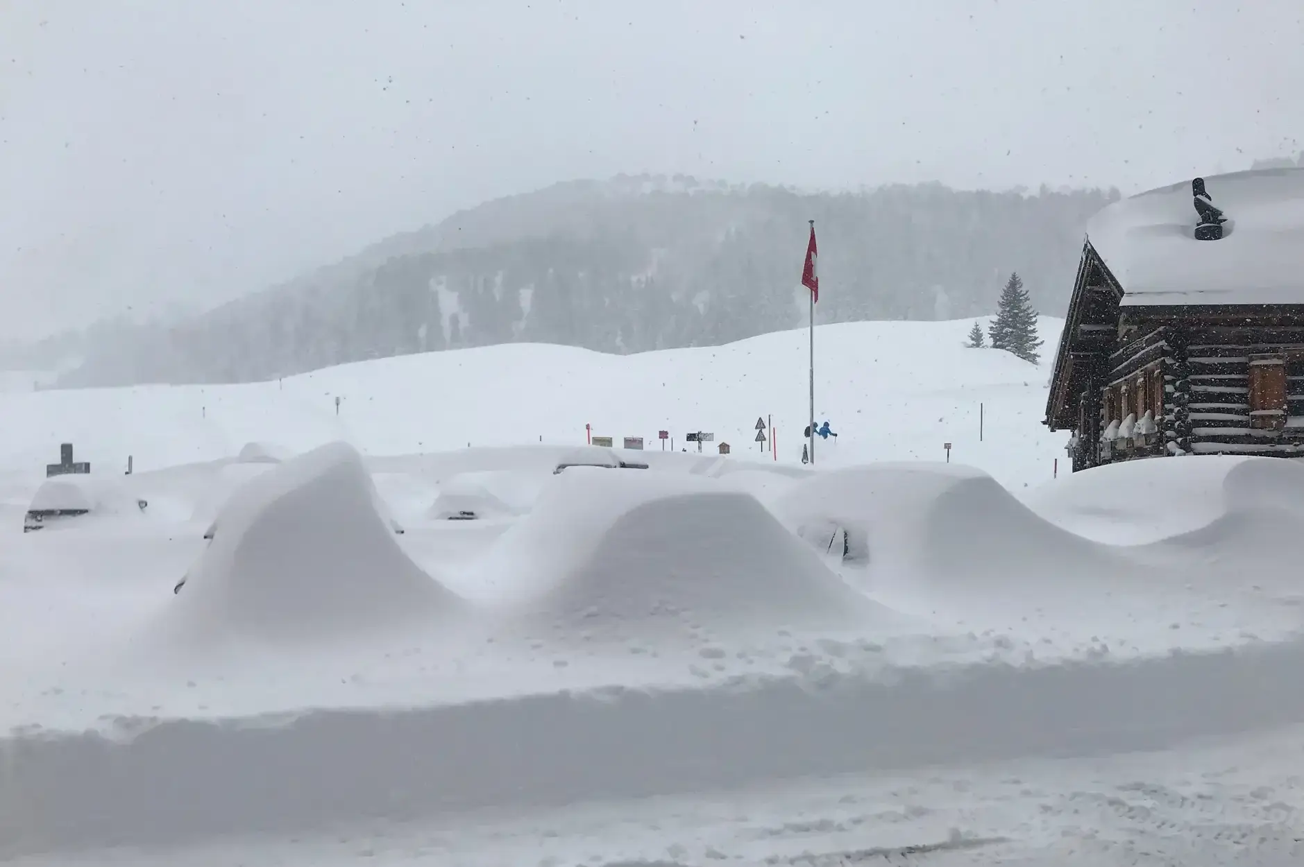 CF Foto Impression 671