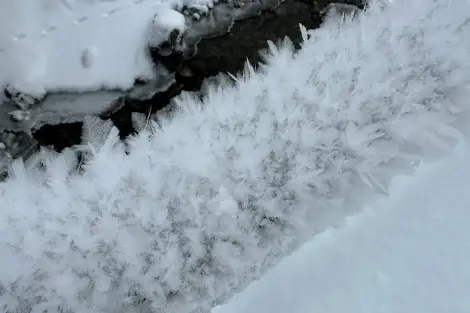 AG FF Foto Impression 020