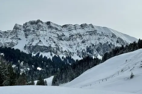 AG FF Foto Impression 021