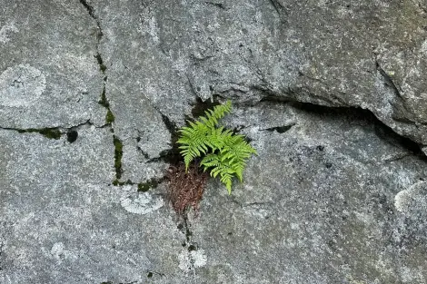 AG FF Foto Impression 077