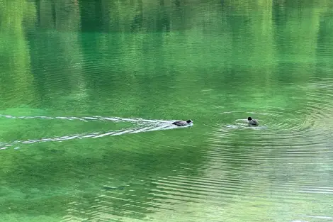 AG FF Foto Impression 089