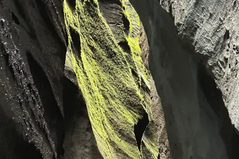 AG FF Foto Impression 096